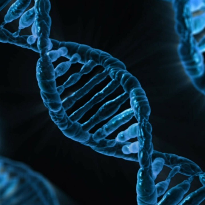 A strand of DNA A strand of DNA