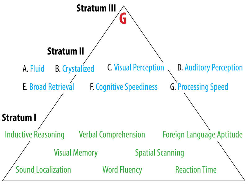 Caroll's Model of Intelligence is displayed as a pyramid. At the top is Stratum III which consists of "G" or general intelligence factor. The middle of the pyramid is Stratum II consisting of Fluid Intelligence, Crystalized Intelligence, Visual Perception, Auditory Perception, Broad Retrieval, Cognitive Speediness, and Processing Speed. Finally, the base of the pyramid is Stratum I, consisting of Inductive Reasoning, Verbal Comprehension, Foreign Language Aptitude, Visual Memory, Spatial Scanning, Sound Localization, Word Fluency, and Reaction Time. Caroll's Model of Intelligence is displayed as a pyramid. At the top is Stratum III which consists of "G" or general intelligence factor. The middle of the pyramid is Stratum II consisting of Fluid Intelligence, Crystalized Intelligence, Visual Perception, Auditory Perception, Broad Retrieval, Cognitive Speediness, and Processing Speed. Finally, the base of the pyramid is Stratum I, consisting of Inductive Reasoning, Verbal Comprehension, Foreign Language Aptitude, Visual Memory, Spatial Scanning, Sound Localization, Word Fluency, and Reaction Time.