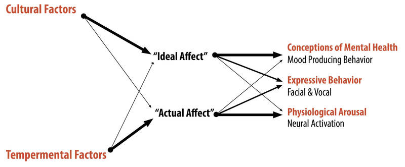 Diagram of the Affect Valuation Theory indicating that cultural factors have a higher influence on a person's ideal affect and temperamental factors have a higher influence on a person's actual affect. Diagram of the Affect Valuation Theory indicating that cultural factors have a higher influence on a person's ideal affect and temperamental factors have a higher influence on a person's actual affect.