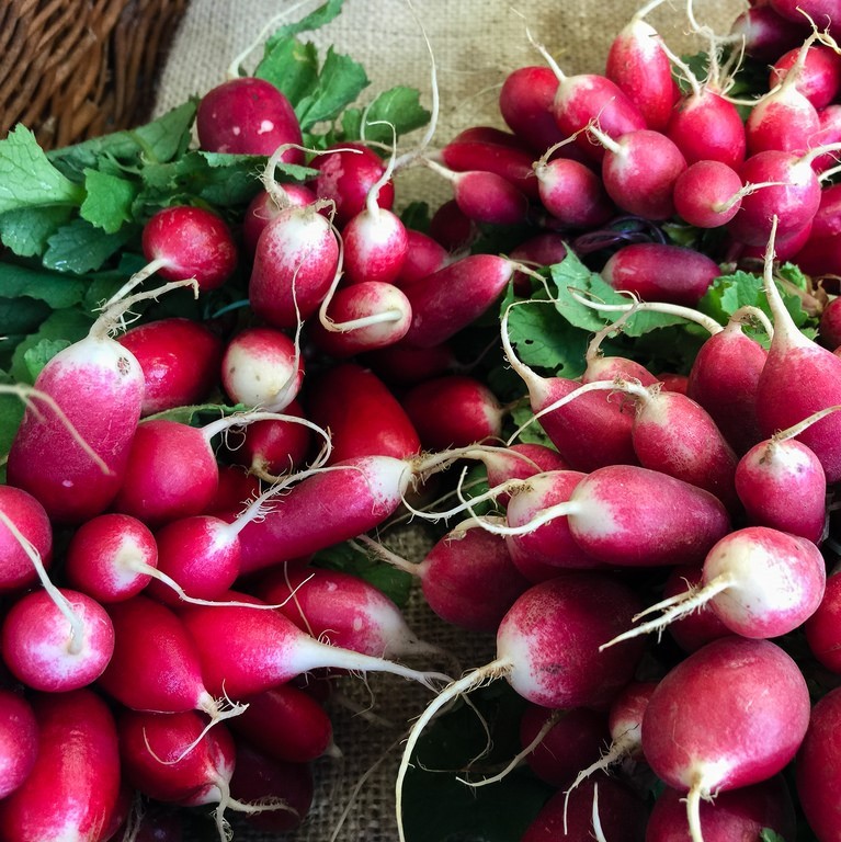 A bunch of red radishes A bunch of red radishes