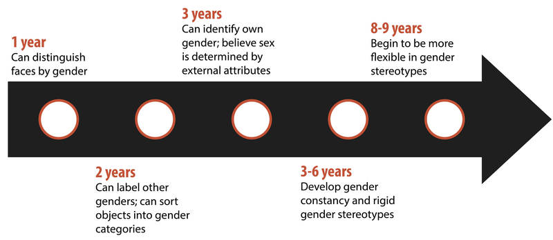 A timeline summarizing the information given in the preceding paragraph about the abilities of children to classify gender at different ages. A timeline summarizing the information given in the preceding paragraph about the abilities of children to classify gender at different ages.