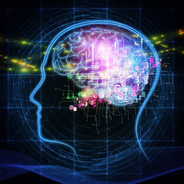 A digital illustration of a human brain. A digital illustration of a human brain.