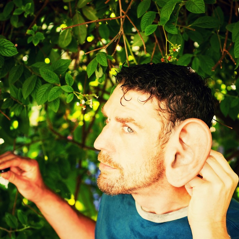 A man puts his hand behind his unusually large ear as if trying to locate the location of a sound. A man puts his hand behind his unusually large ear as if trying to locate the location of a sound.
