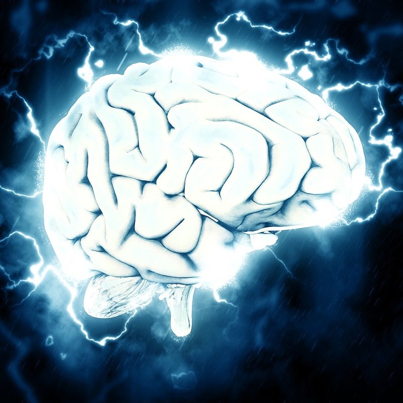 Illustration of the brain. Illustration of the brain.