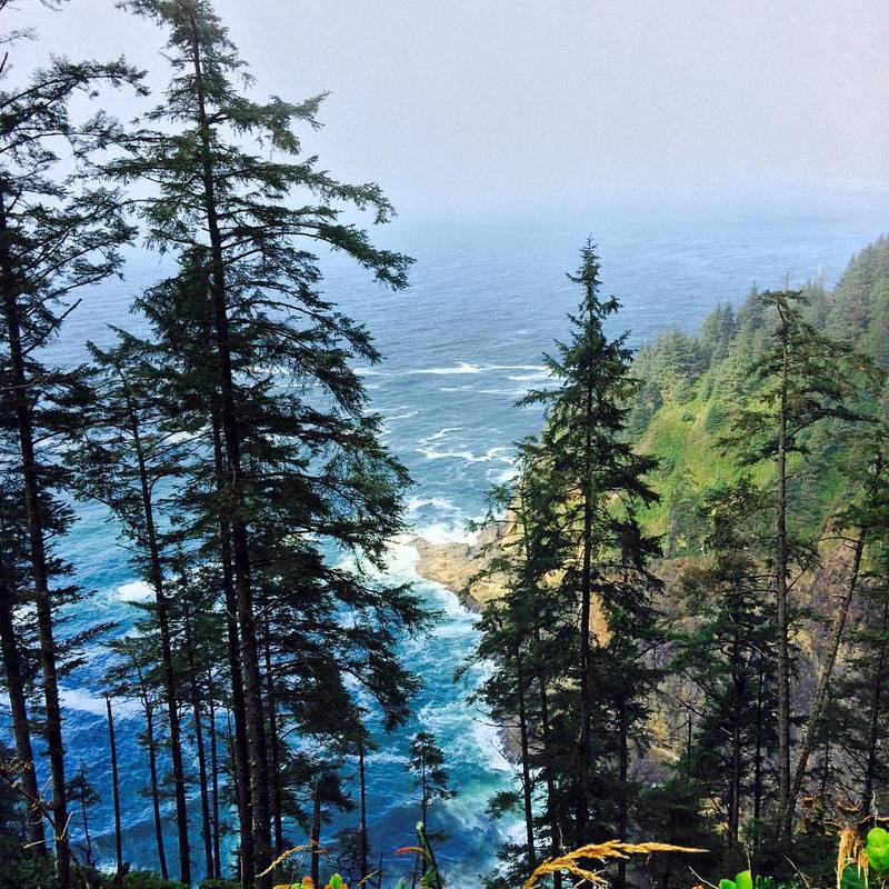 A view of the Pacific Ocean from high above seen through a group of fir trees. A view of the Pacific Ocean from high above seen through a group of fir trees.
