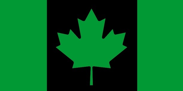 This image is an illustration of the opponent process theory of vision. The image depicts the Canadian flag. Where the familiar Canadian flag is a red maple leaf on a white background bordered by two white columns this image is different. It shows a green maple leaf on a black background bordered by green columns. If a person stares at the green and black flag and then diverts their eyes to a blank surface such as a wall an "after image" of the Canadian flag will appear to hover there, only it will appear in red and white! Exactly the opposite colors the person was just staring at. This image is an illustration of the opponent process theory of vision. The image depicts the Canadian flag. Where the familiar Canadian flag is a red maple leaf on a white background bordered by two white columns this image is different. It shows a green maple leaf on a black background bordered by green columns. If a person stares at the green and black flag and then diverts their eyes to a blank surface such as a wall an "after image" of the Canadian flag will appear to hover there, only it will appear in red and white! Exactly the opposite colors the person was just staring at.