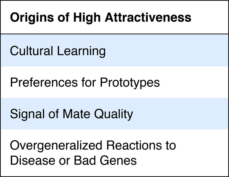 Origins of High Attractiveness: Cultural learning; preferences for prototypes; signal of mate quality; overgeneralized reactions to disease or bad genes. Origins of High Attractiveness: Cultural learning; preferences for prototypes; signal of mate quality; overgeneralized reactions to disease or bad genes.