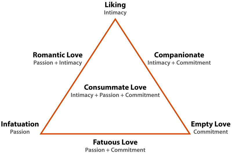 The model of the Triangular Theory of Love displays 6 types of love evenly spaced around the outside of a triangle, and one type of love at the center of the triangle. The types of love outside the triangle include: Infatuation (Passion), Romantic Love (Passion + Intimacy), Liking (Intimacy), Companionate (Intimacy + Commitment), Empty Love (Commitment), and Fatuous Love (Passion + Commitment). At the center is Consummate Love (Intimacy + Passion + Commitment). The model of the Triangular Theory of Love displays 6 types of love evenly spaced around the outside of a triangle, and one type of love at the center of the triangle. The types of love outside the triangle include: Infatuation (Passion), Romantic Love (Passion + Intimacy), Liking (Intimacy), Companionate (Intimacy + Commitment), Empty Love (Commitment), and Fatuous Love (Passion + Commitment). At the center is Consummate Love (Intimacy + Passion + Commitment).