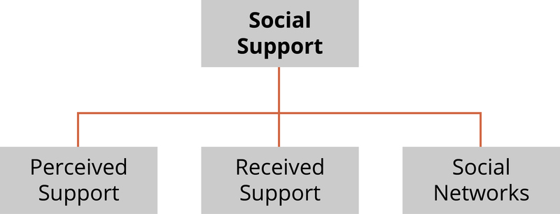 Diagram showing the three components of social support - perceived support, received support, and social networks. Diagram showing the three components of social support - perceived support, received support, and social networks.