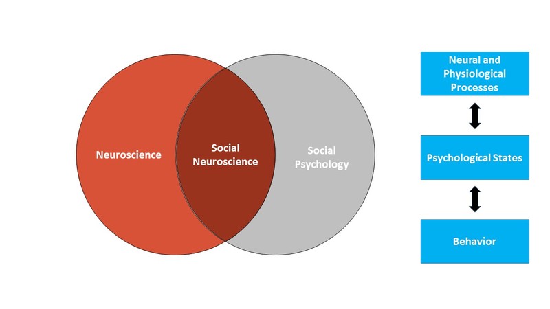 Figure 1 is composed of two parts. The first is a Venn diagram showing social neuroscience as a space of overlap between neuroscience and social psychology. The second part of the figure shows the bi-directional influence between neural and physiological processes and psychological states and between psychological states and behavior. Figure 1 is composed of two parts. The first is a Venn diagram showing social neuroscience as a space of overlap between neuroscience and social psychology. The second part of the figure shows the bi-directional influence between neural and physiological processes and psychological states and between psychological states and behavior.