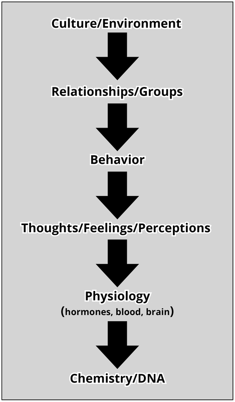 Levels of analysis in psychology: Cultural/Environment; Relationships/Groups; Behavior; Thoughts/Feelings/Perceptions; Physiology; Chemistry/DNA. Levels of analysis in psychology: Cultural/Environment; Relationships/Groups; Behavior; Thoughts/Feelings/Perceptions; Physiology; Chemistry/DNA.