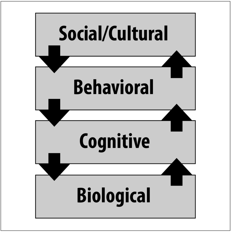 Four levels of analysis - biological, cognitive, behavioral, social/cultural. Four levels of analysis - biological, cognitive, behavioral, social/cultural.