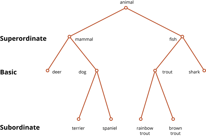 This figure shows examples of super-ordinate, basic, and subordinate categories. For example, "mammals" is a super-ordinate category in which "dog" is a basic member. Below that, specific types of dogs such as "spaniels" are subordinate categories. This figure shows examples of super-ordinate, basic, and subordinate categories. For example, "mammals" is a super-ordinate category in which "dog" is a basic member. Below that, specific types of dogs such as "spaniels" are subordinate categories.